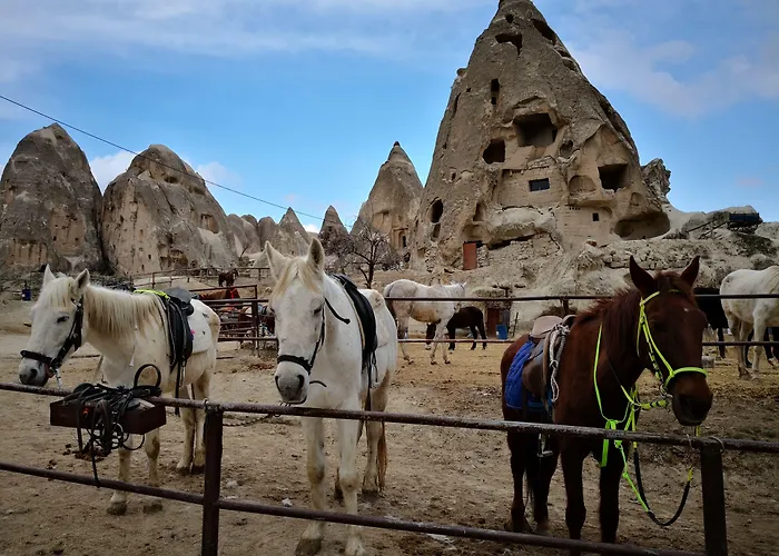 Roc Of Cappadocia Göreme
